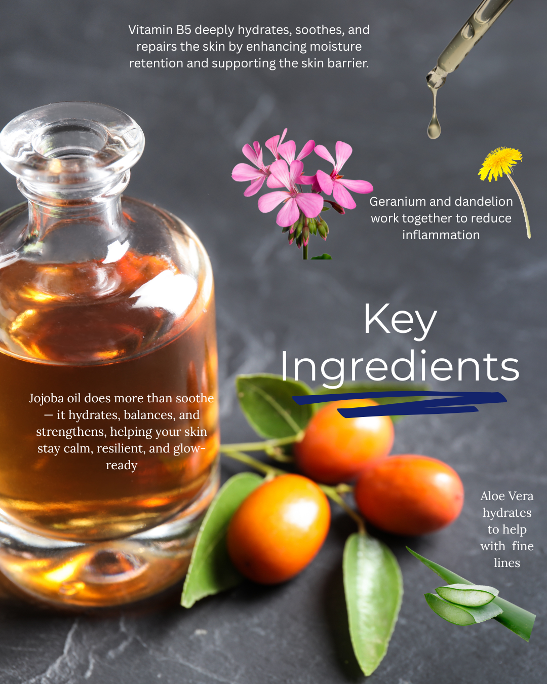 Hydra Renew mask ingredients flat lay — featuring hyaluronic acid, rosehip, jojoba oil, and peptide complex from Mythic Cosmetics.